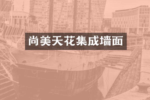 尚美天花集成墙面