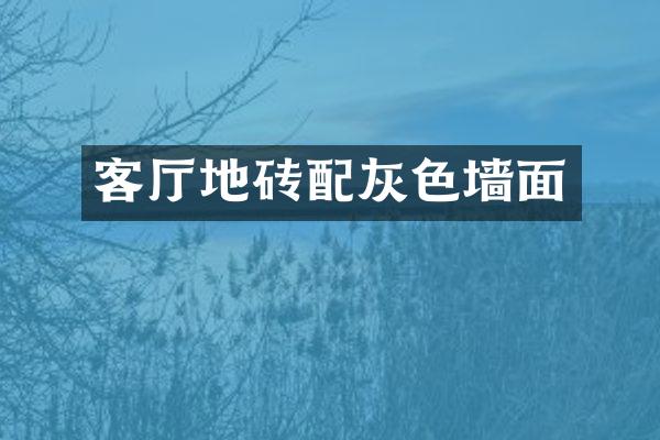 客厅地砖配灰色墙面