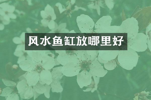 风水鱼缸放哪里好