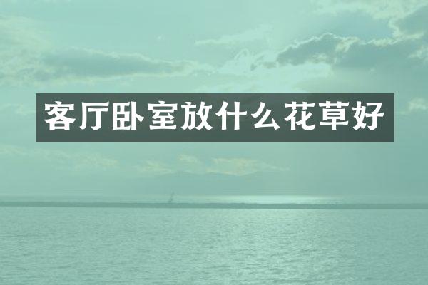 客厅卧室放什么花草好