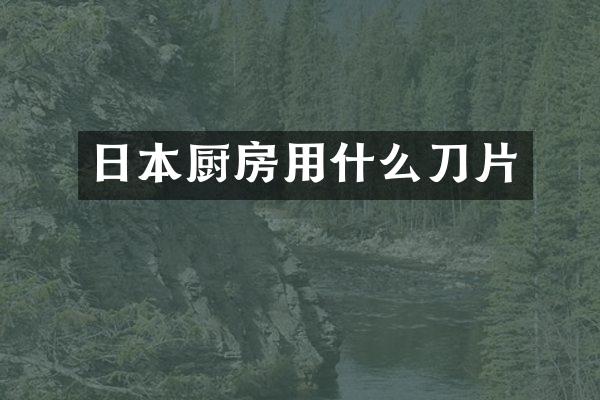 日本厨房用什么刀片