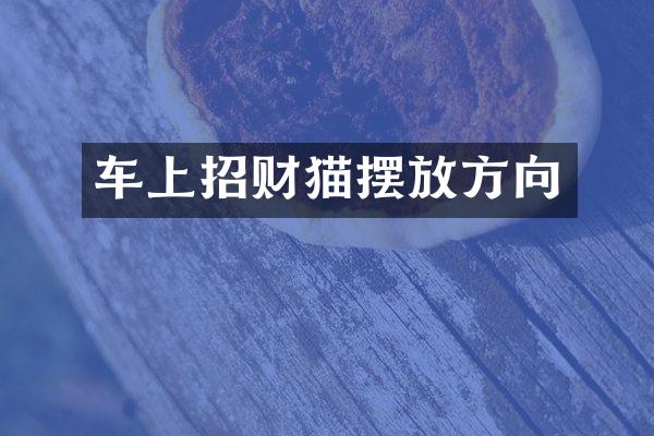 车上招财猫摆放方向