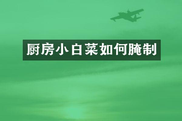 厨房小白菜如何腌制