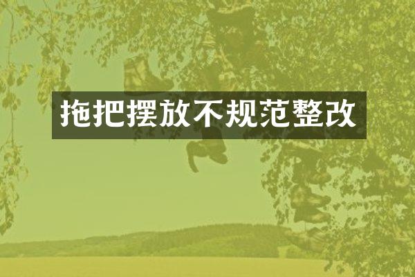 拖把摆放不规范整改