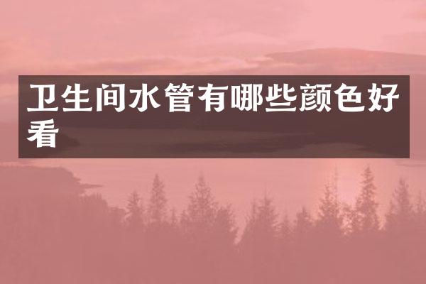卫生间水管有哪些颜色好看