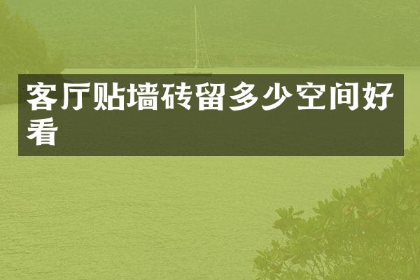 客厅贴墙砖留多少空间好看