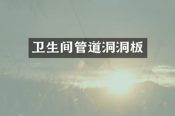 卫生间管道洞洞板