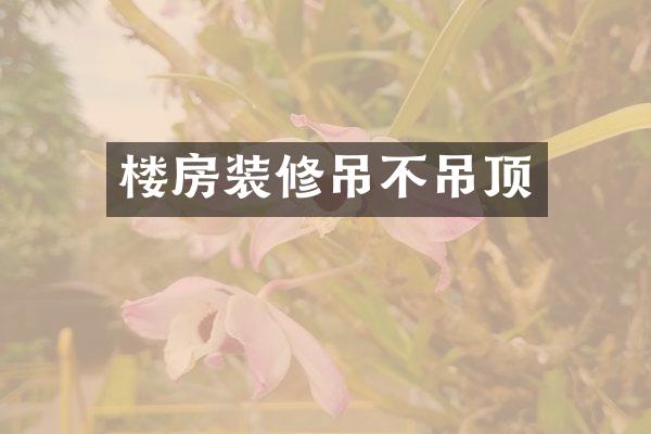 楼房装修吊不吊顶