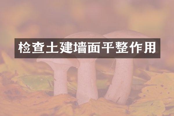 检查土建墙面平整作用