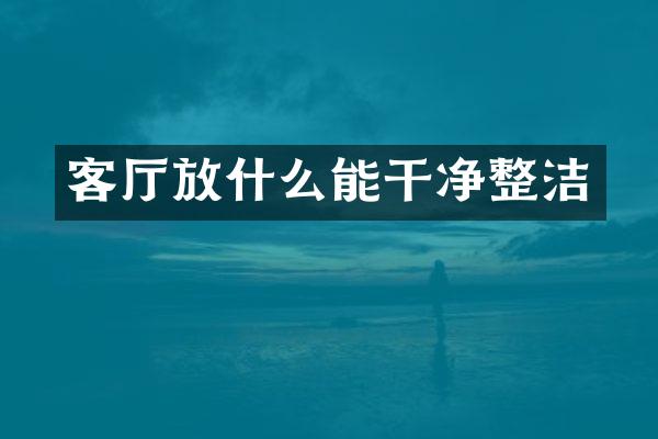 客厅放什么能干净整洁