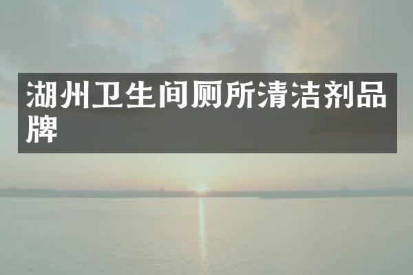 湖州卫生间厕所清洁剂品牌