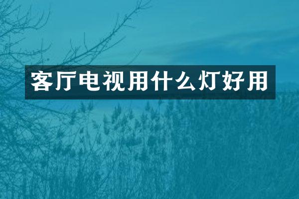 客厅电视用什么灯好用