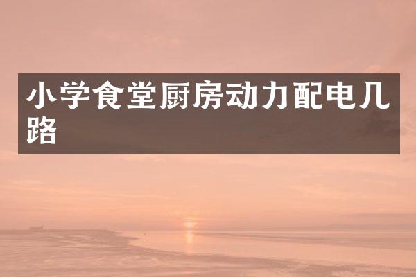 小学食堂厨房动力配电几路