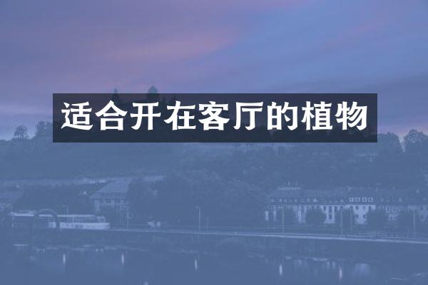 适合开在客厅的植物