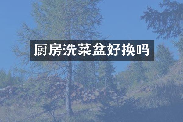 厨房洗菜盆好换吗