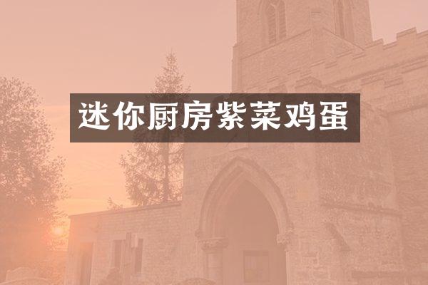 迷你厨房紫菜鸡蛋