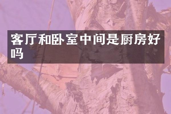 客厅和卧室中间是厨房好吗