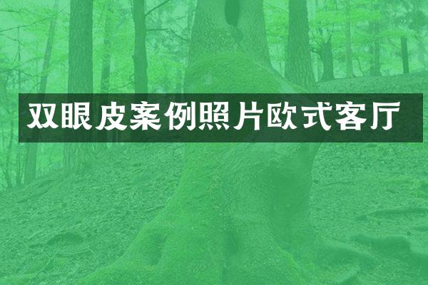 双眼皮案例照片欧式客厅