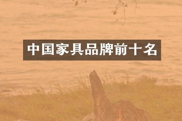 中国家具品牌前十名