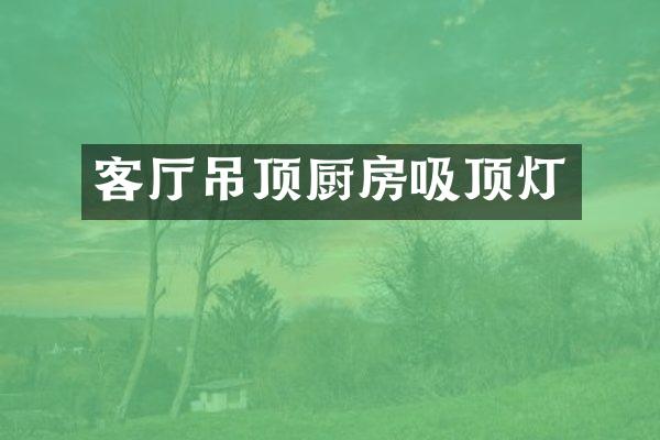客厅吊顶厨房吸顶灯