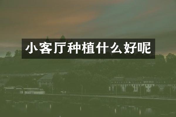 小客厅种植什么好呢