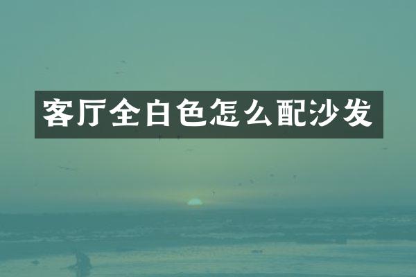 客厅全白色怎么配沙发