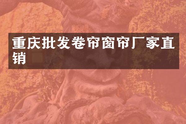 重庆批发卷帘窗帘厂家直销