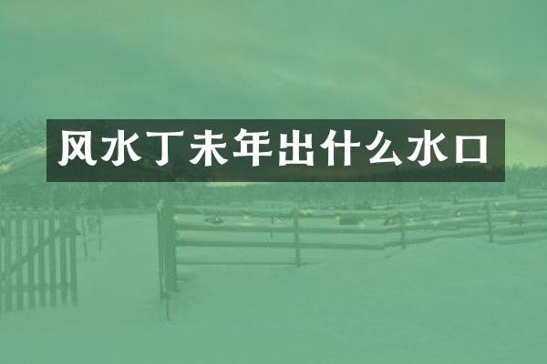 风水丁未年出什么水口