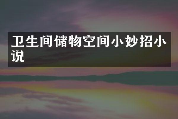 卫生间储物空间小妙招小说