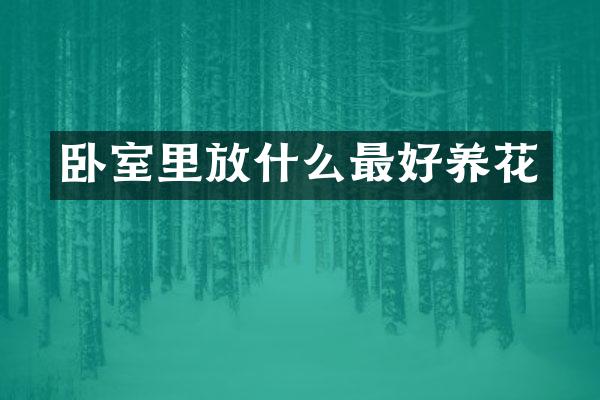 卧室里放什么最好养花