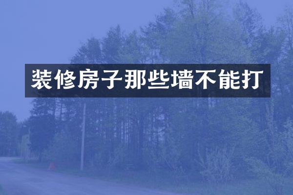 装修房子那些墙不能打