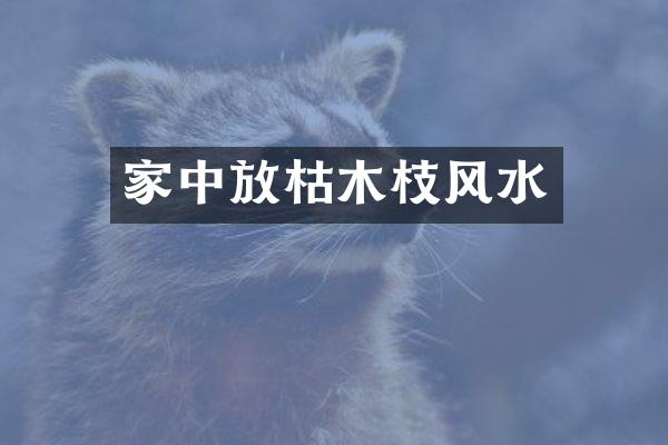 家中放枯木枝风水