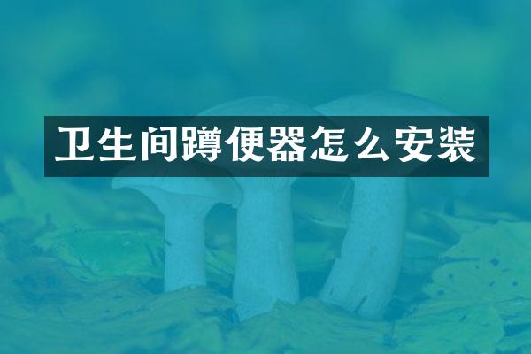 卫生间蹲便器怎么安装