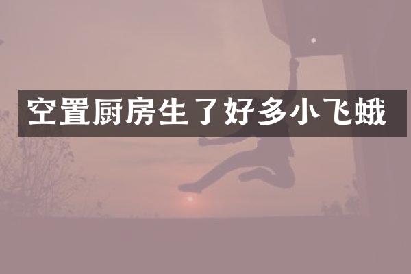 空置厨房生了好多小飞蛾