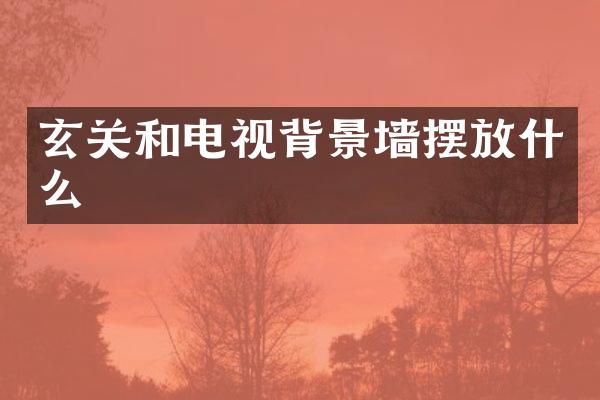 玄关和电视背景墙摆放什么