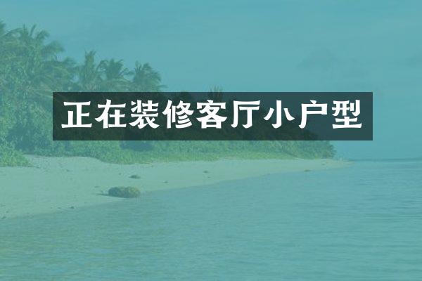 正在装修客厅小户型