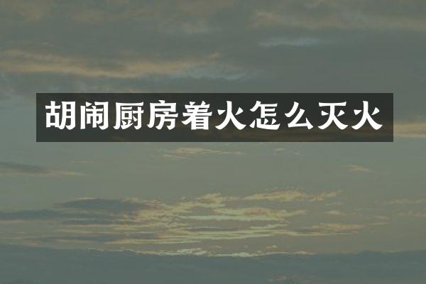 胡闹厨房着火怎么灭火