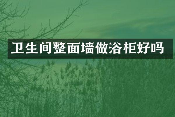 卫生间整面墙做浴柜好吗