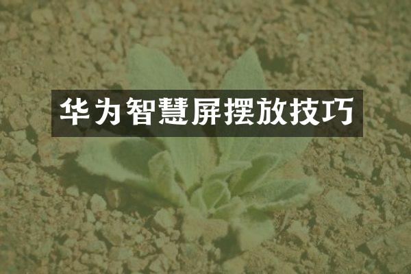 华为智慧屏摆放技巧