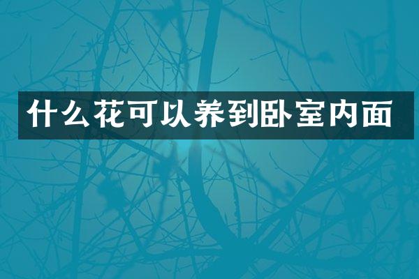什么花可以养到卧室内面