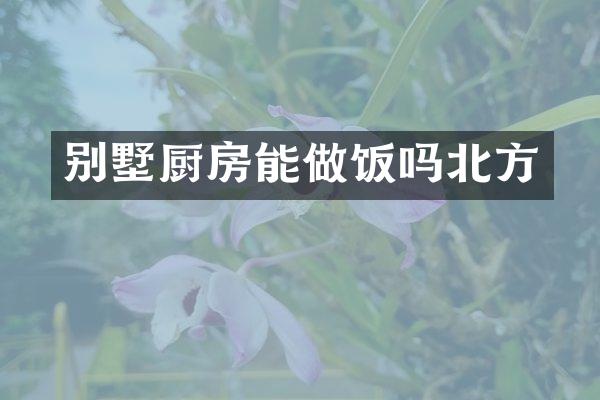 别墅厨房能做饭吗北方