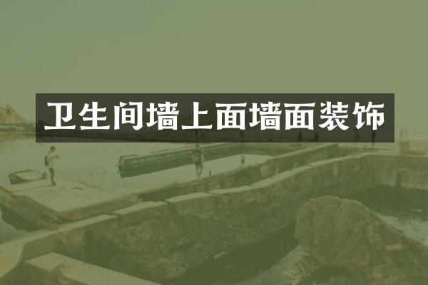 卫生间墙上面墙面装饰