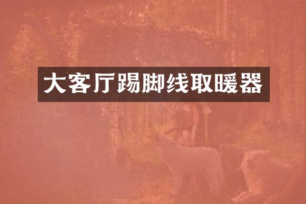 大客厅踢脚线取暖器