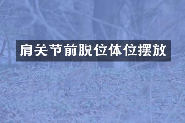 肩关节前脱位摆放