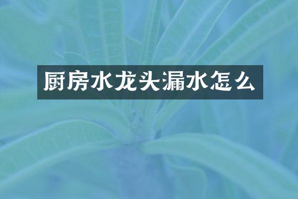 厨房水龙头漏水怎么
