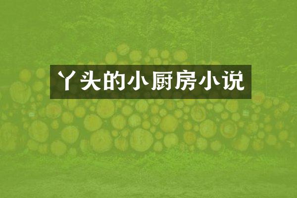 丫头的小厨房小说