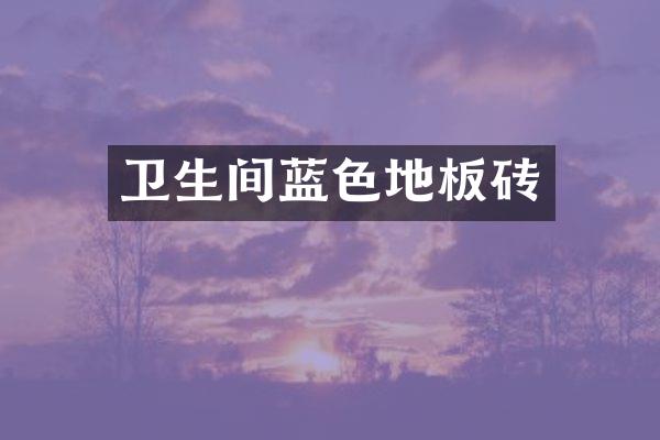 卫生间蓝色地板砖