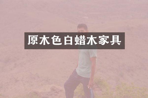 原木色白蜡木家具