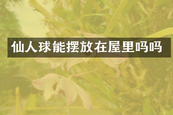仙人球能摆放在屋里吗吗