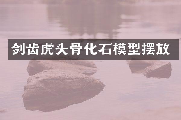 剑齿虎头骨化石模型摆放